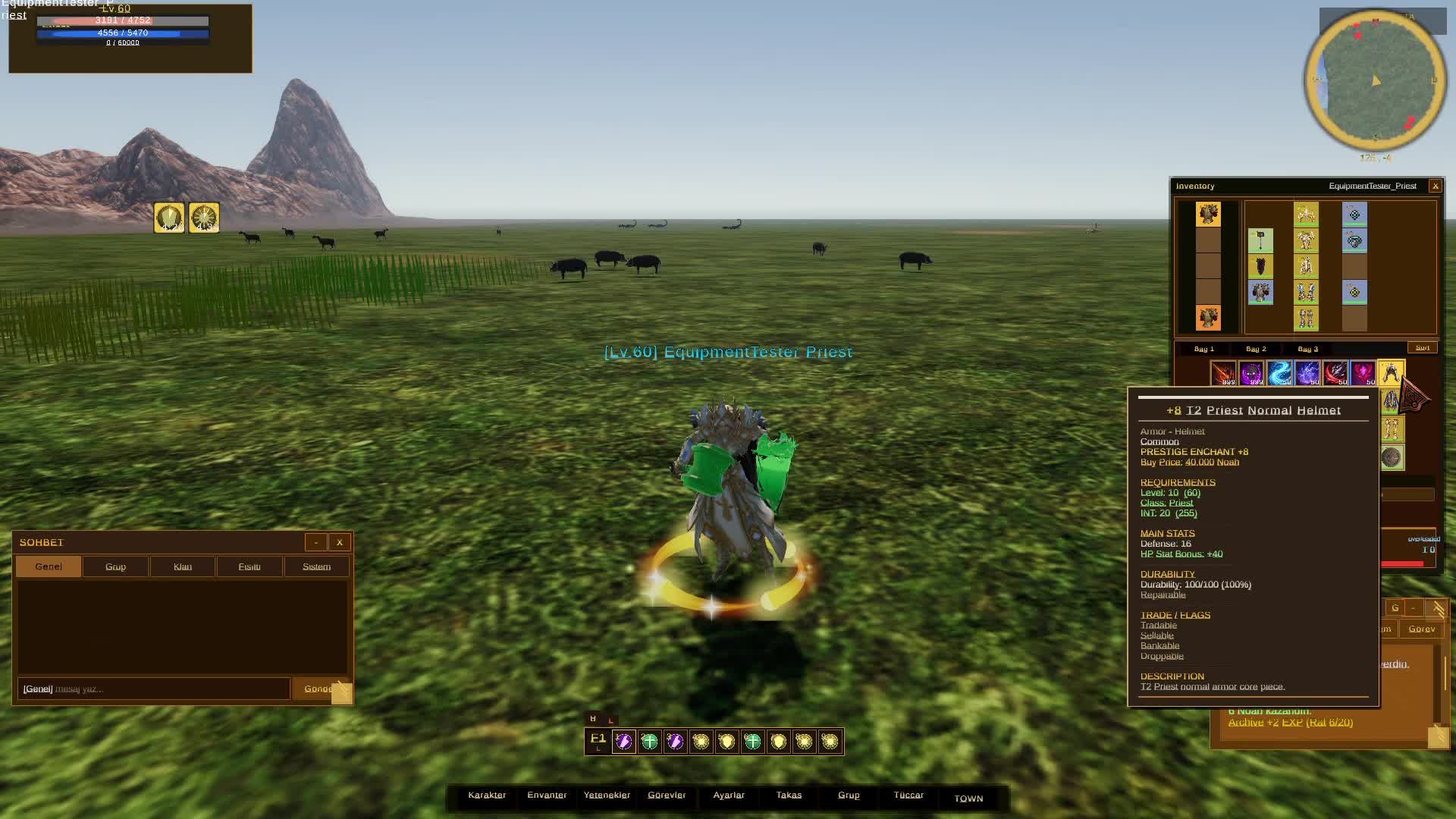 Mage. Area Control / Elemental Damage